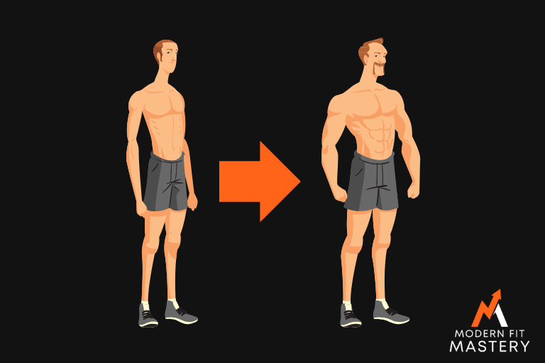 Training as a beginner versus an intermediate lifter.